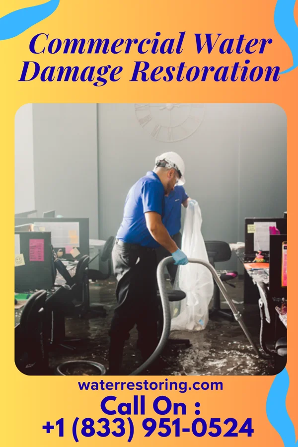Commercial Water Damage Restoration in Mount Vernon, MD