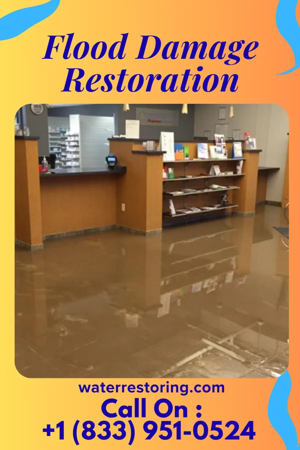 Flood Damage Restoration in Mount Vernon, MD