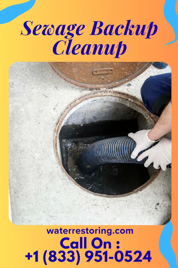 Sewage Backup Cleanup in Mount Vernon, MD