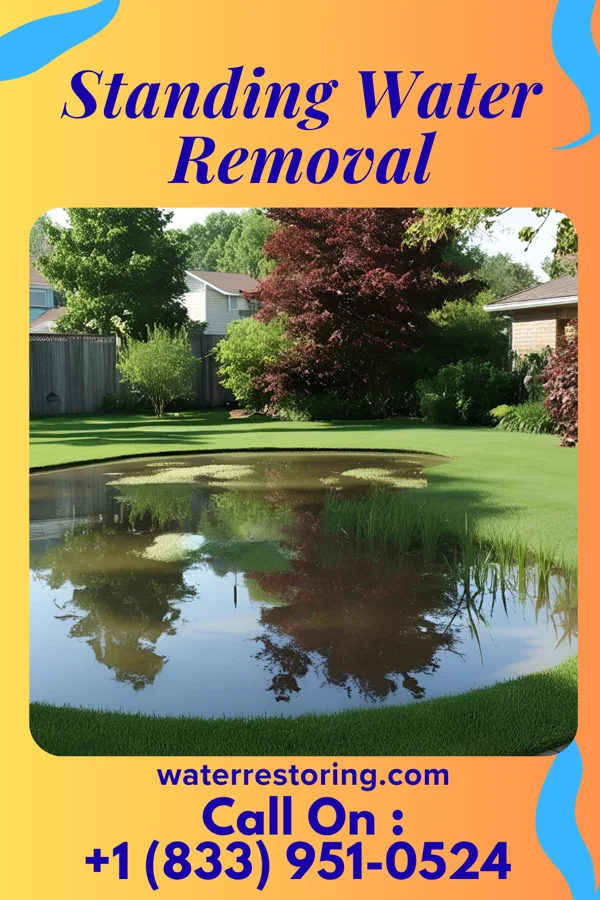 Standing Water Removal in Mount Vernon, MD